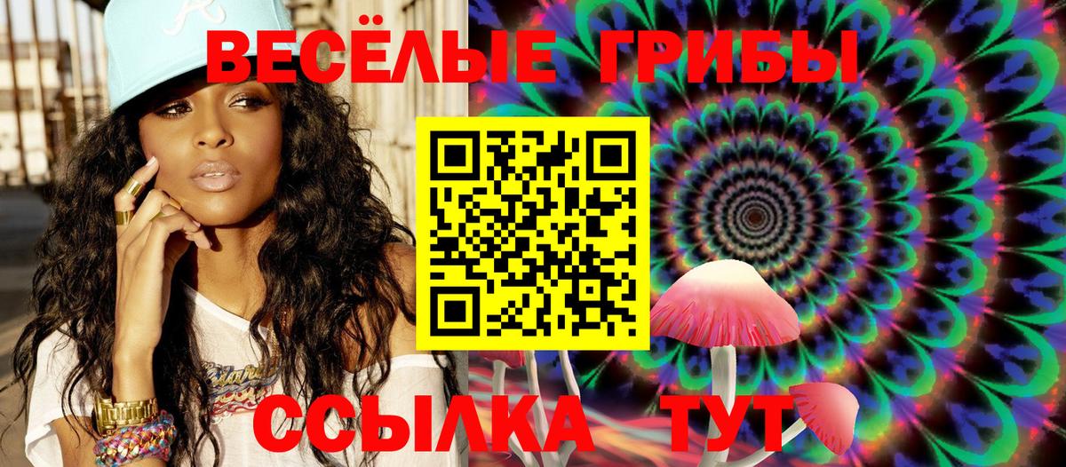 Галлюциногенные грибы MAGIC MUSHROOMS Усть-Джегута