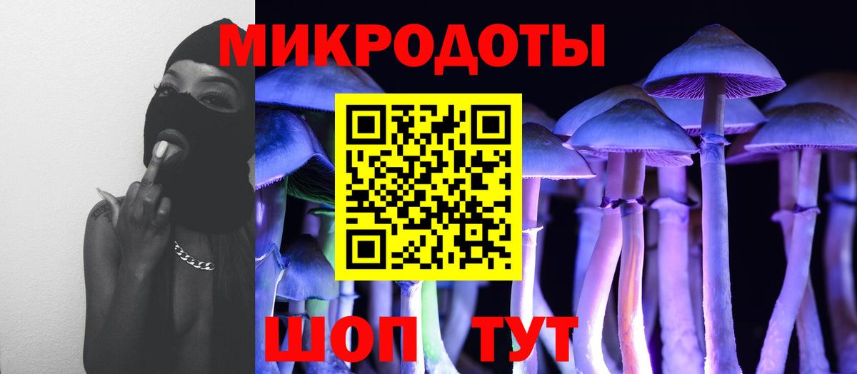 Псилоцибиновые грибы GOLDEN TEACHER  Вход с VPN  Усть-Джегута  Галлюциногенные грибы Psilocybine cubensis 